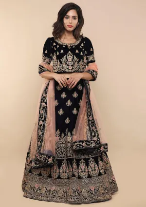 Blue and Pink Velvet Semi Stitched Lehenga