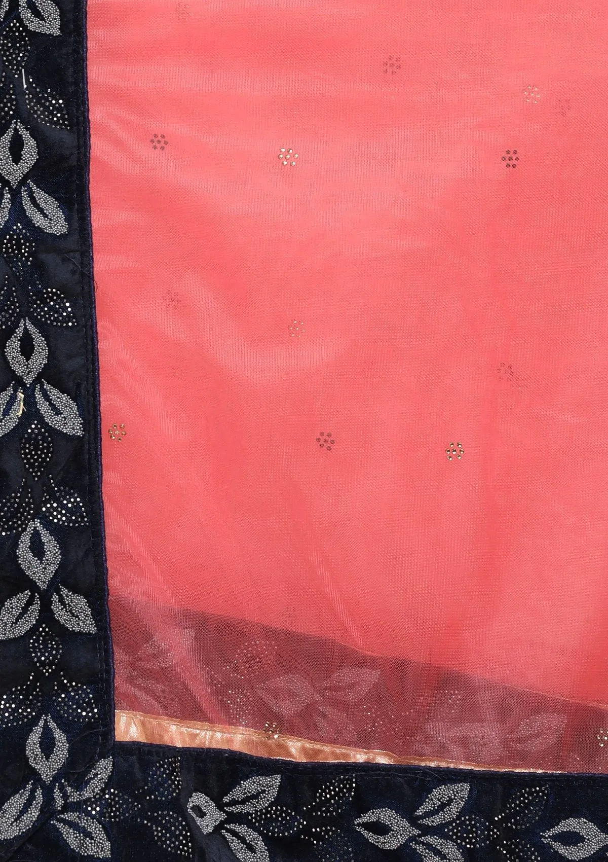 Blue Zariwork Velvet Semi Stitched Lehenga