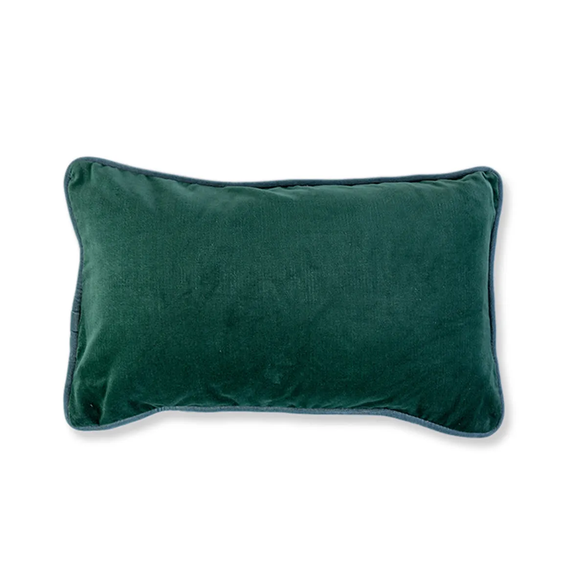 Charliss Velvet Lumbar Pillow - Green   Aqua