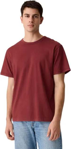 GAP Men's Washed Tee