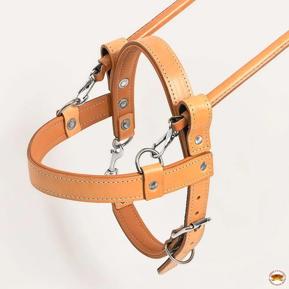 HILASON Brown Padded Genuine Leather Dog Harness with Handle Tan | Multi-functional Dog Harness with Adjustable Straps for Training & Guide Work | Extra Large, Tan, Brown