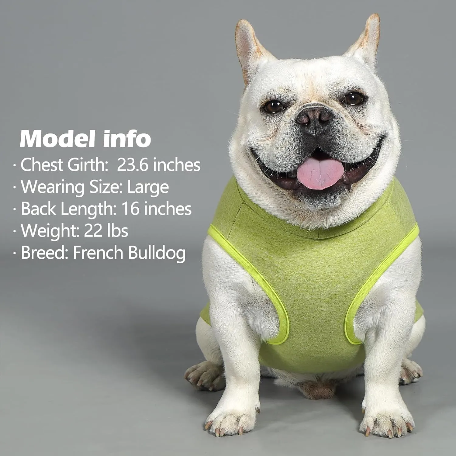 KYEESE 2Pack Dog Sweater Warm Coats Soft Dachshund Clothes for Small Dogs Male Turtleneck Stretchy Pullover Sweatshirt