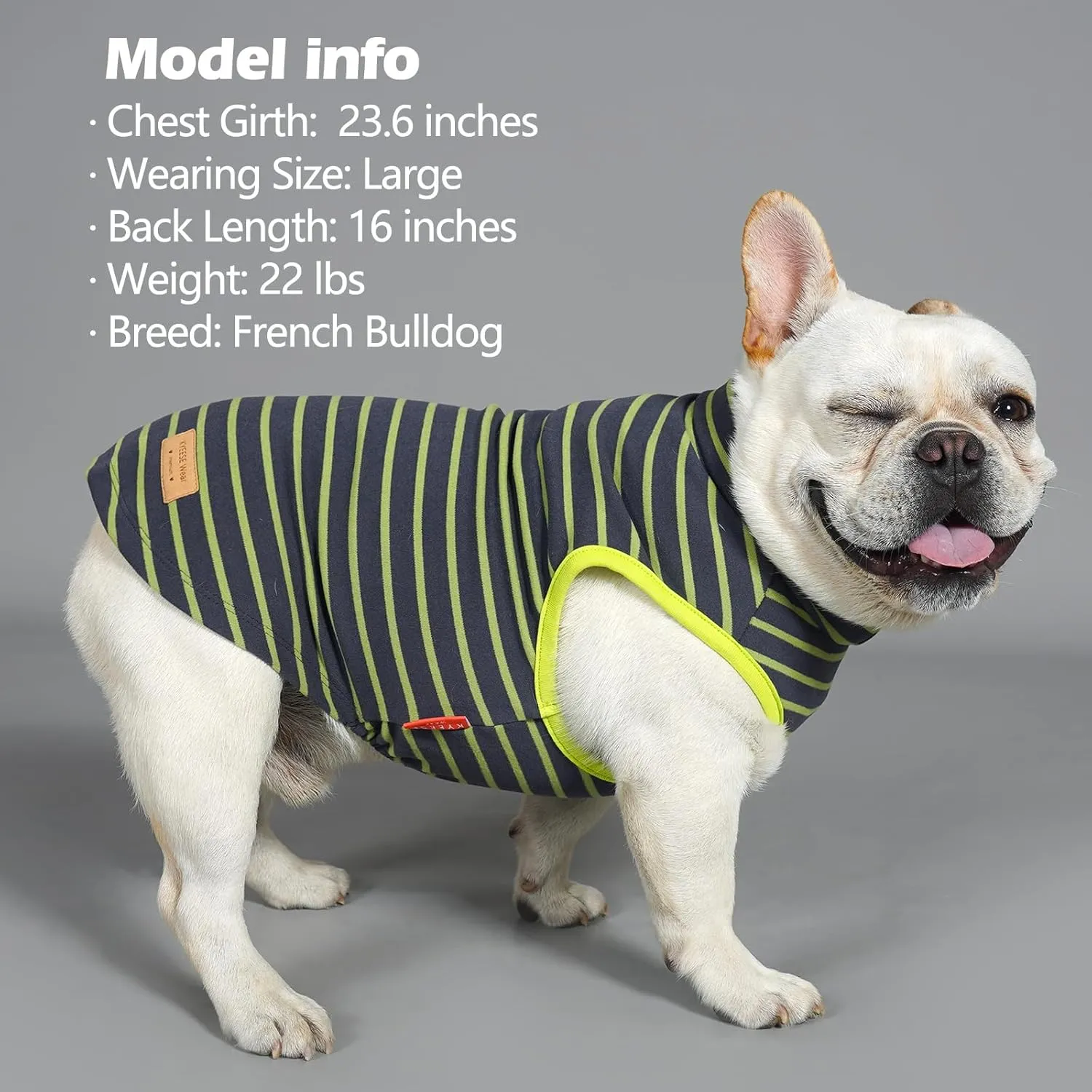 KYEESE 2Pack Dog Sweater Warm Coats Soft Dachshund Clothes for Small Dogs Male Turtleneck Stretchy Pullover Sweatshirt