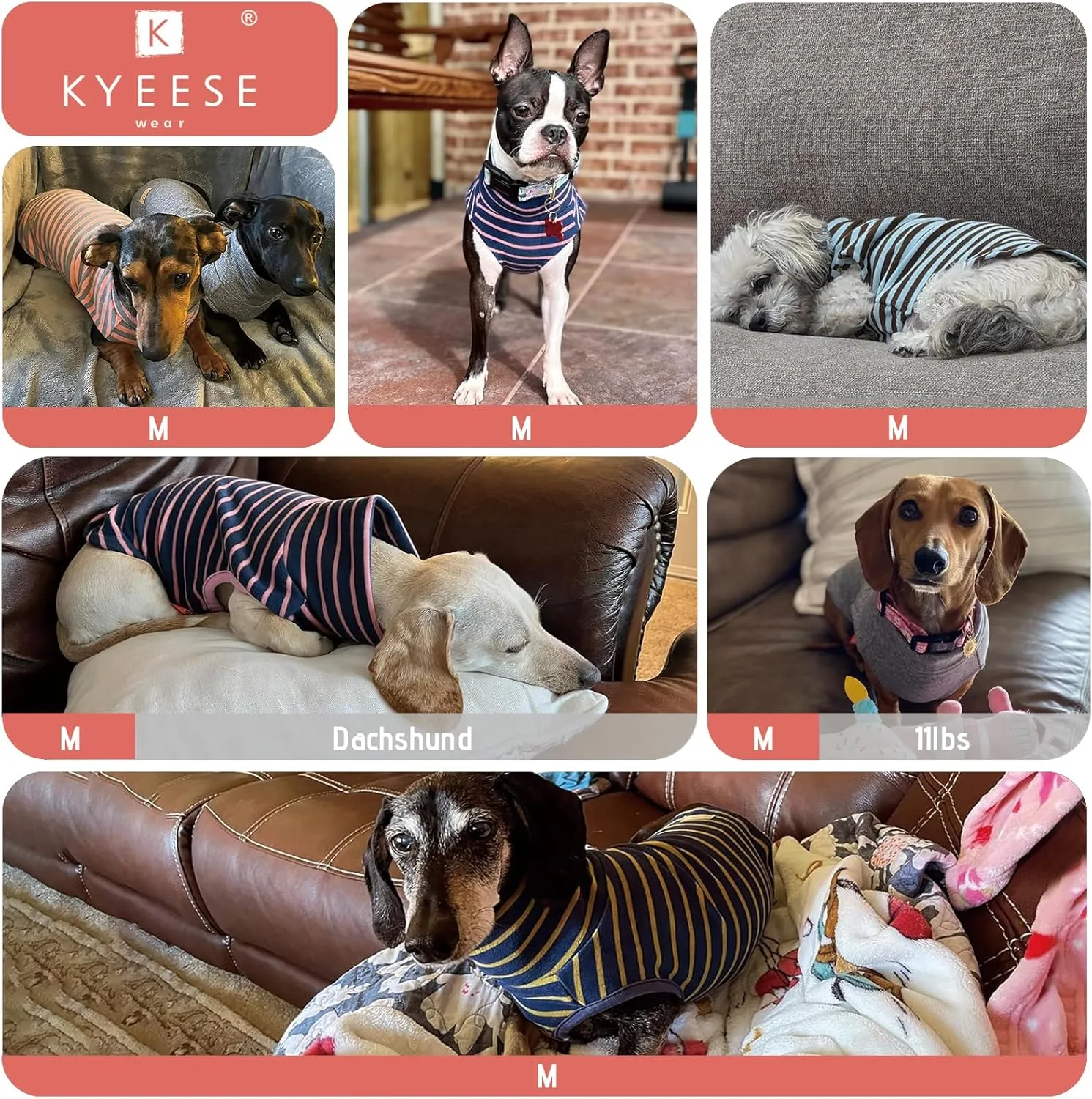 KYEESE 2Pack Dog Sweater Warm Coats Soft Dachshund Clothes for Small Dogs Male Turtleneck Stretchy Pullover Sweatshirt