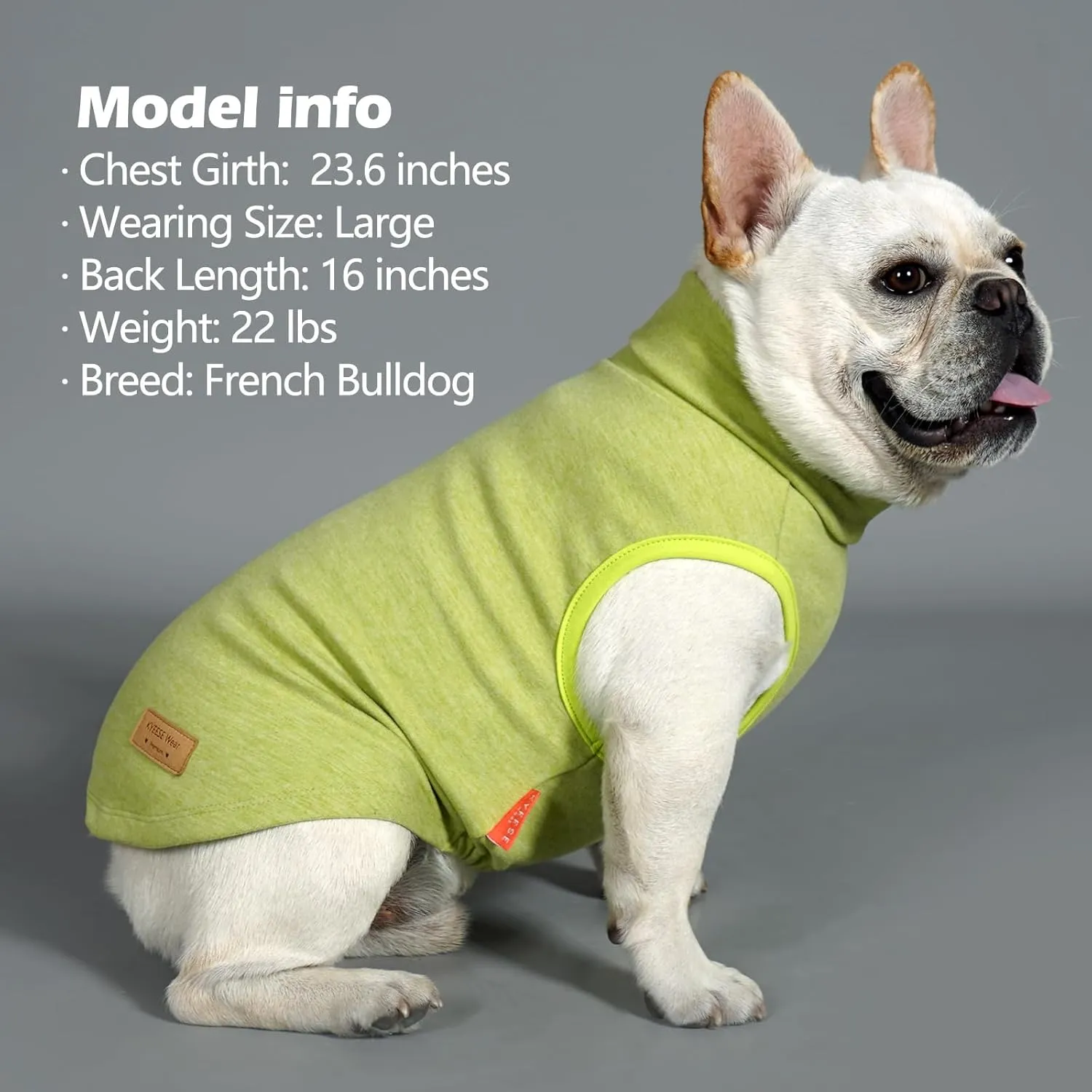 KYEESE 2Pack Dog Sweater Warm Coats Soft Dachshund Clothes for Small Dogs Male Turtleneck Stretchy Pullover Sweatshirt