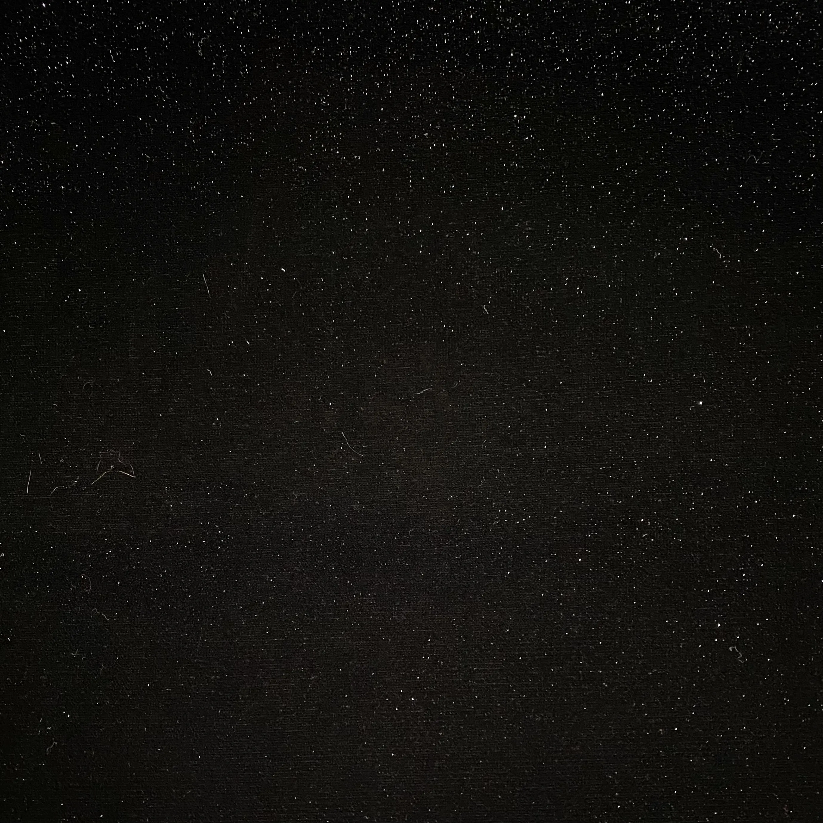 Micro Glitter Velvet - Black