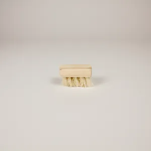 Mini Brush