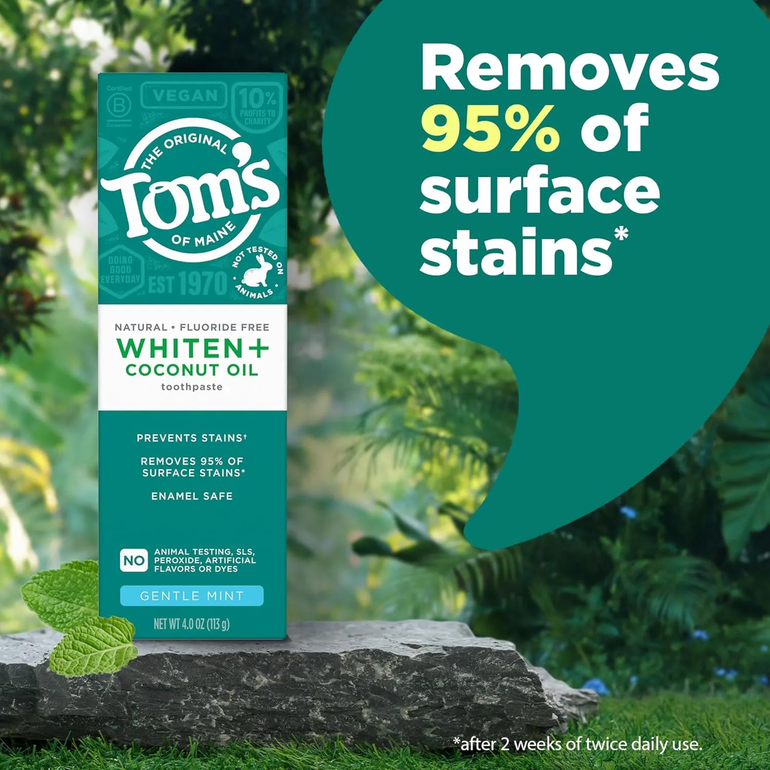 Tom's of Maine Whiten Plus Coconut Oil Fluoride Free Toothpaste, Natural Whitening Toothpaste with Plant-Based Cleansers, Whitens Without Causing Sensitivity, Gentle Mint, 4.0 Oz (Pack of 3)