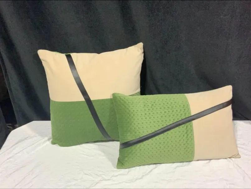 Velvet Pillows Set(set of 2)
