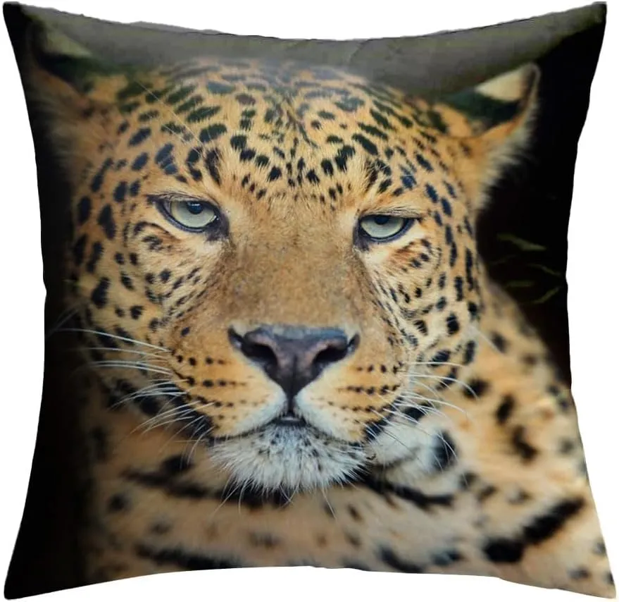 Velvet Throw Pillow Covers 18x18 Inch Behavior Leopard Animals Catlike Wildlife Africa Nature Moustaches Attentive Beasts Proud Careful Farmhouse Decorations Throw Cushion Case for Home Bed Couch